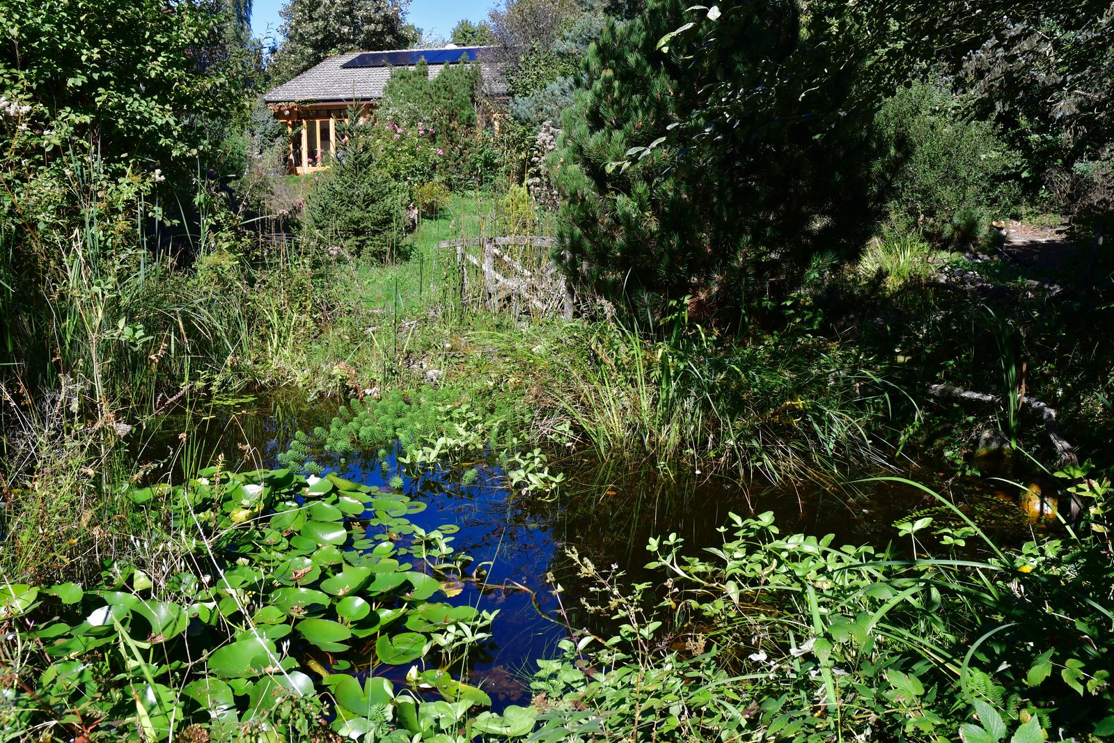 Une visite du public dans mon jardin paradis